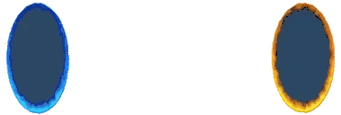 PortalBear emoji