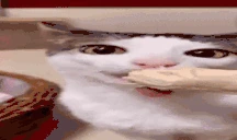 Hunger emote