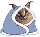 floppaCozy static emote
