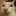 ot emote