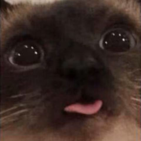 blep emote