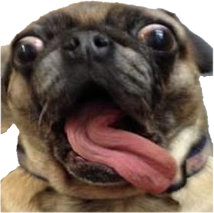 CrazyDog static emote