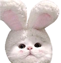 Cunny emote