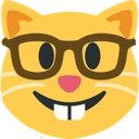 nerd_cat emote