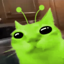 catErm static emote