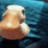DuckCowering emote