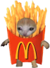 FryCat emote
