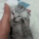 GETOUTOFMYHEAD emote