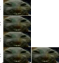 xddL emote