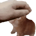 PettheRobert emote