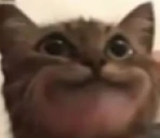 33 emote