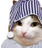 kiisu_sleepy emote