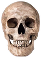 skullhd emote
