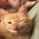 smile emote
