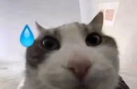 oopsie emote