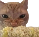 Corn emote