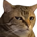 annoyedCat emote