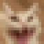 aa emote