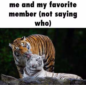 Friendship emote