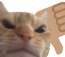 downswag emote