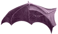 bat_wing_left emote