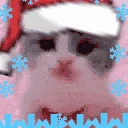 Scared emote