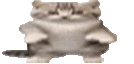 lildans emote