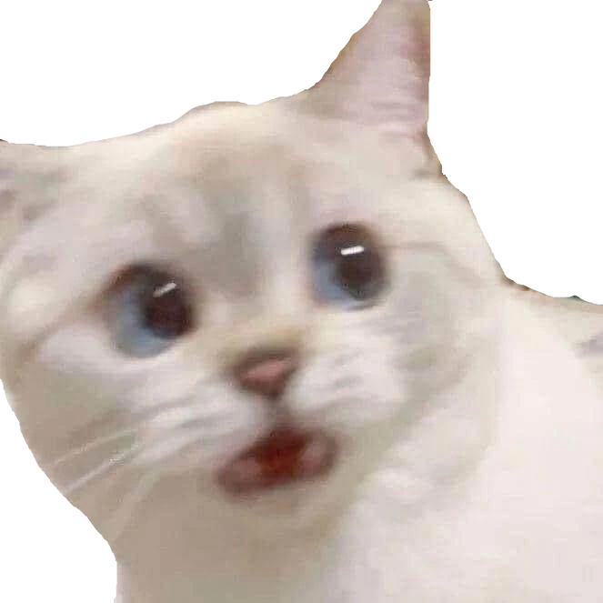 ayo_wtf_bro emote