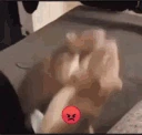 ratFight emote