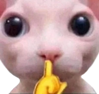 bingus_shh emote