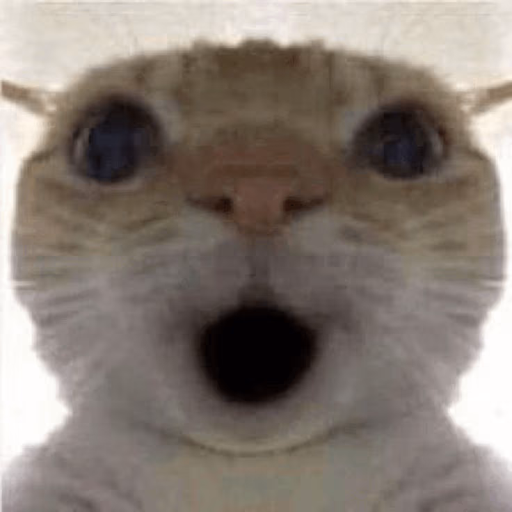Shockedcat emote