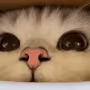 CE_Sniffsniff3 emote