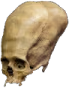 skull_longhead emote