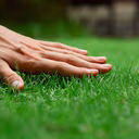 grass emote