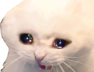 sadcat2 emote