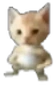 Baby emote