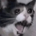 NOOOO emote