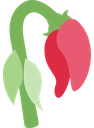 WILTEDROSE emote