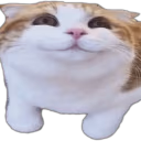 hihi emote