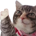 hesAlrightYouKnow emote