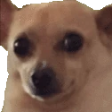 awkleave emote