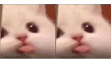blonga emote