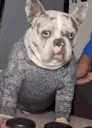 HELLNAW emote