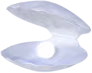indigoshell emote