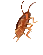 spinning_roach emote