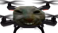 xdDrone emote