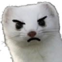AngryFerret emote