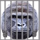 PDW emote