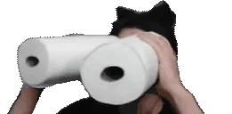 Binoculars emote