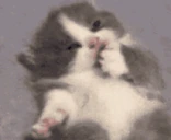 mleming emote